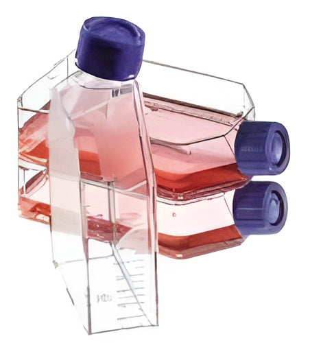 BIOLOGIX Tissue Culture Flask with Filter Cap,PS, 25cm2, TC treated, Sterile