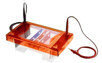 BIOLOGIX Electrophoresis Tank, Gel Dimension: 100x70mm& 100x100mm