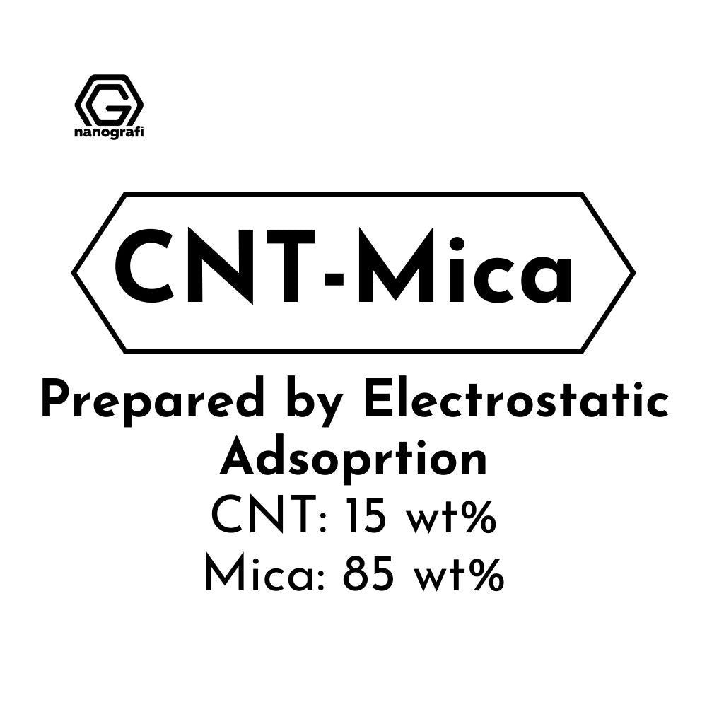 Carbon Nanotube-Mica Prepared by Electrostatic Adsorption