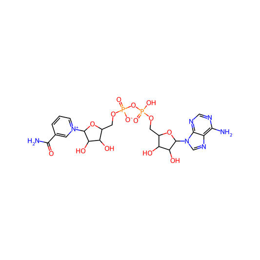TCI D0919 53-84-9 beta-Nicotinamide Adenine Dinucleotide oxidized form [for Biochemical Research]